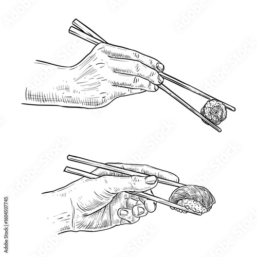 hand holding sushi with chopsticks vector line art hand drawn illustration set collection