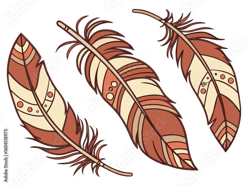 feather vector illustration