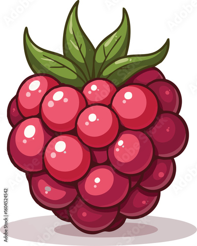 A vector illustration of ripe red raspberries and blackberries with leaves, a healthy and sweet fruit harvest