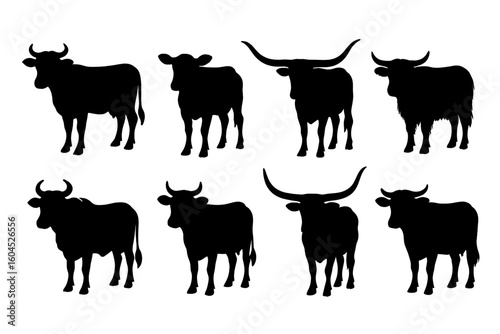 Cow silhouettes collection, vector illustration of cattle breeds, bulls and cows with longhorn, curved, short and downward horn shapes, farm livestock animal icons isolated