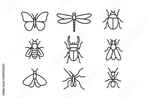 Insect outline icons set, thin line vector illustration, butterfly, dragonfly, beetle, bee, stag beetle, fly, moth, mosquito, ant, linear editable stroke on transparent background