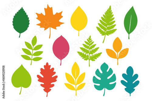 Colorful silhouetted leaves collection in flat style. Autumn maple, oak, fern, monstera foliage icons. Botanical leaf shapes vector illustration isolated on transparent background.