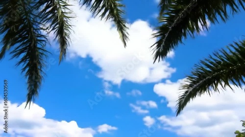 Wallpaper Mural Low angle view of palm fronds framing a bright blue sky with fluffy white clouds Torontodigital.ca
