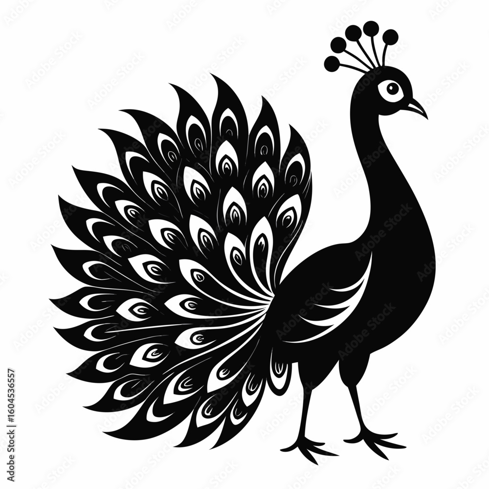 Fototapeta premium Peacock Silhouette with Spread Tail