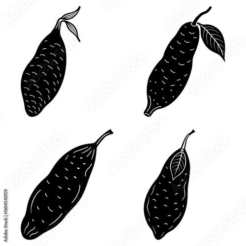 Illustration of four black pods with leaves in a simple graphic style on a white background artful design