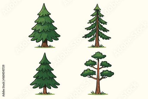 Coniferous vector tree collection. Set of 4 various evergreen trees. Vector cartoon illustration. Pine, fir, spruce forest element for design. Natural woodland asset.