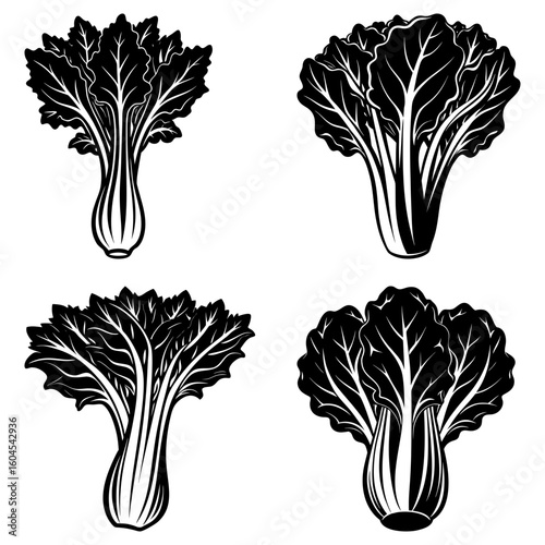 Four monochrome bok choy plants with detailed leaves and stems arranged on a white background in a grid