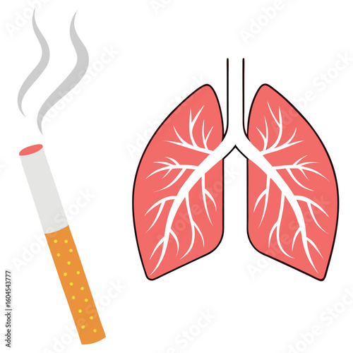 Smoke from a cigarette poses serious harm and danger to human lung function