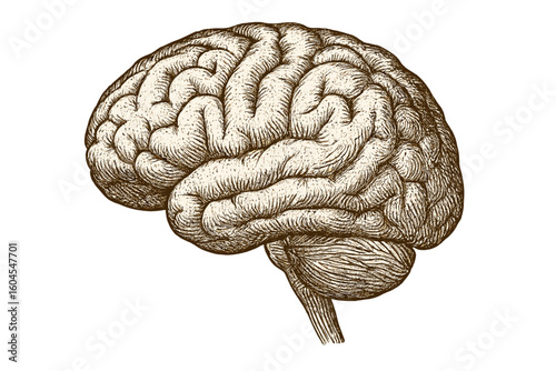 Psychology concept of untangling thoughts and solving mental problems. Hand unravels tangled thread in human head. Mental health, therapy, anxiety, and stress relief vector.