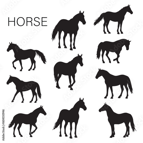 Collection of horse silhouettes isolated on white background