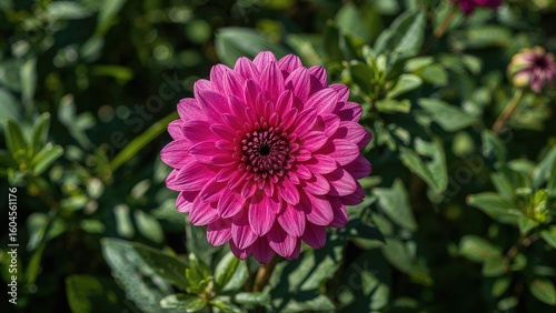 Stunning floral display with shades of pink and purple