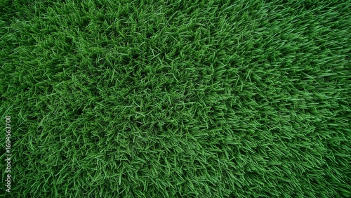 Wallpaper Mural Green Turf Surface Design for Wall Covering Torontodigital.ca