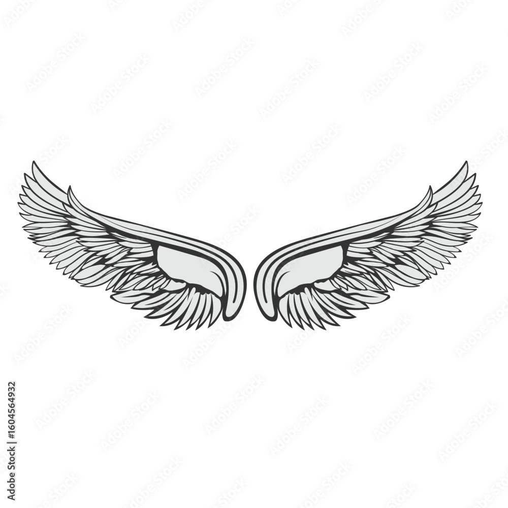 Obraz premium wings vector abstract modern logo