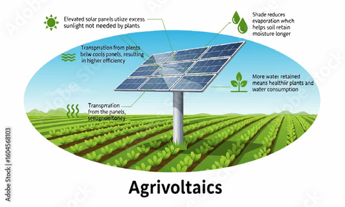 Agrivoltaics concept shows solar panels above electric sunlight not needed by plants