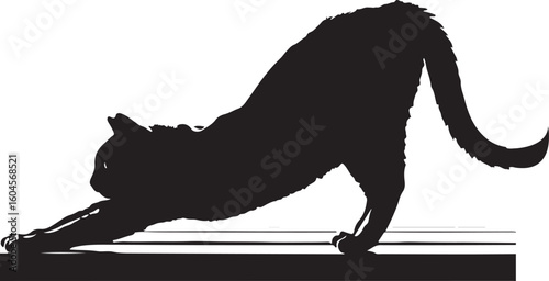 silhouette of a cat