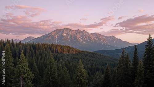 Sweeping landscape featuring tall spruces under a dramatic sky tinted in purples and pinks
