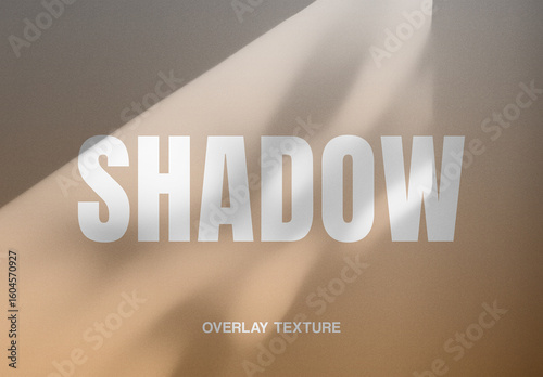 Sunlight Shadow Overlay