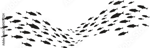 A large fish swims with a school of small fish swimming aquatic