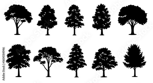 Collection of Black Silhouettes of Various Types of Deciduous and Evergreen Trees Against a White Background for Design Elements and Illustrations