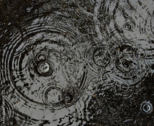 raindrops fall steadily, creating series ripples across puddle. surface reflects cloudy sky, enhancing calm atmosphere this rainy day. top view. close up.