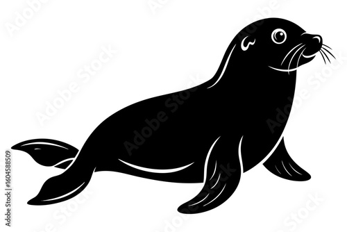 black sea lion