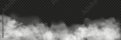 Realistic white fog,  smoke background. Soft, misty, vapor effect. Atmosphere, weather, spooky, fantasy, steam, cloud, haze, magic vector design element.