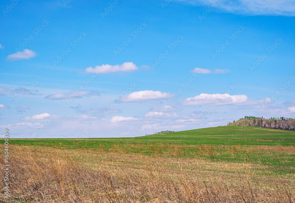 Bright green fields stretch across the landscape, dotted with patches of dry grass. Bright green fields stretch across the landscape, dotted with patches of dry grass.