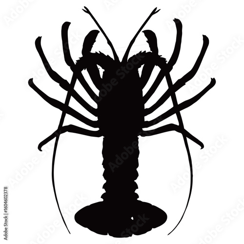 silhouette image of a lobster with a transparent background