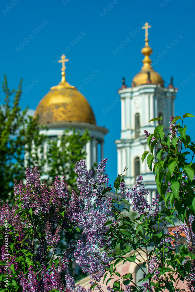 Obraz premium Blooming lilacs against the backdrop of an Orthodox cathedral.