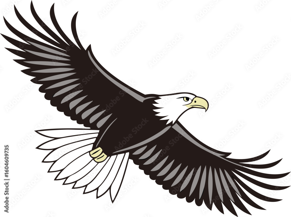 Fototapeta premium flying eagle vector isolated clear background