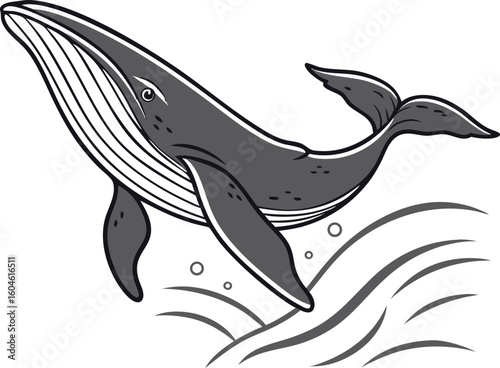 realistic whale breaching ocean wildlife vector transparent

