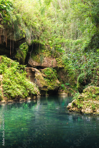 A serene tropical jungle scene with a clear blue river flowing through lush green foliage and rocky formations at Charco Azul, Puerto Rico.