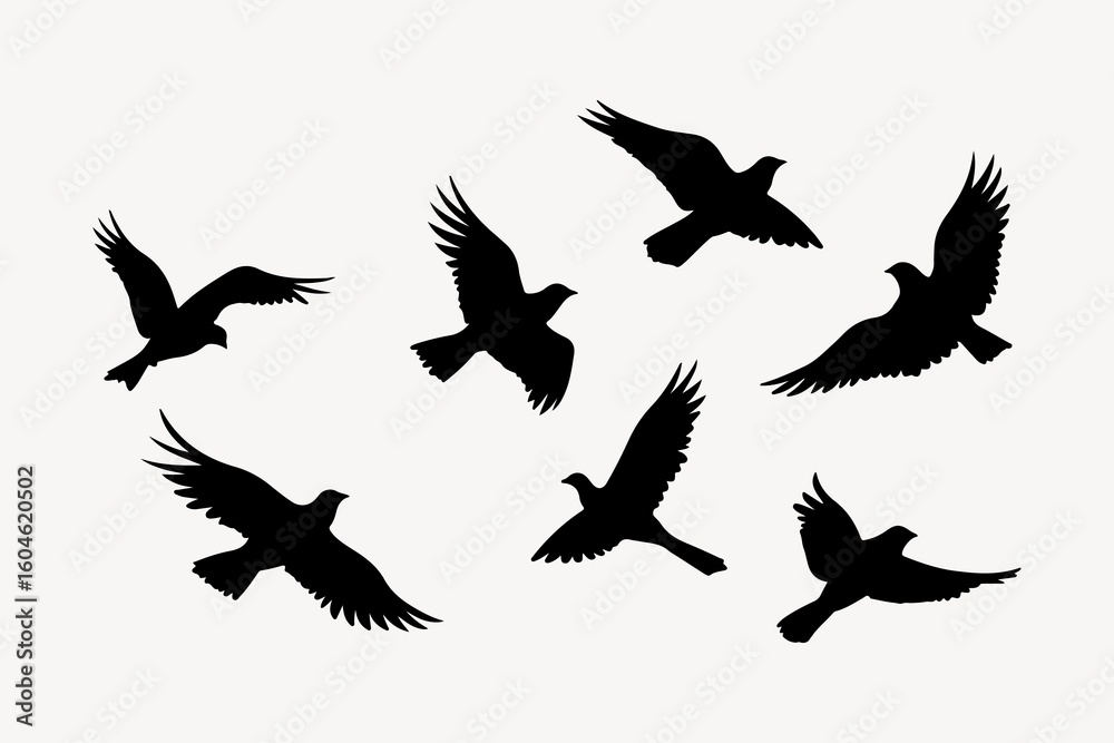 Obraz premium Flock of bird silhouette animal flying.