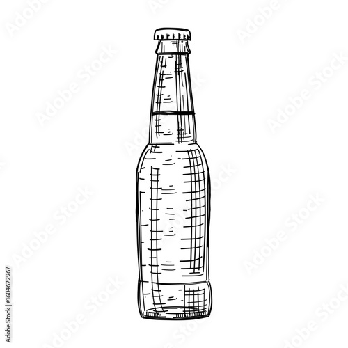 Vintage hand drawn vector beer bootle sketch. Etching engraved style