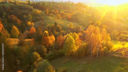 Majestic bird's eye view of a rolling countryside with autumn trees shining in the sun. Carpathian mountains, Ukraine, Europe. UHD 4k video.