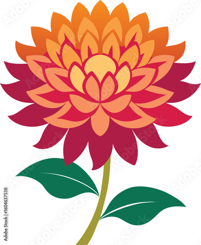 Beautiful chrysanthemum flower illustration isolated on white background