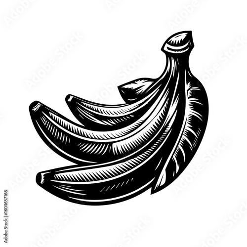 Black and White Bunch of Bananas Illustration.