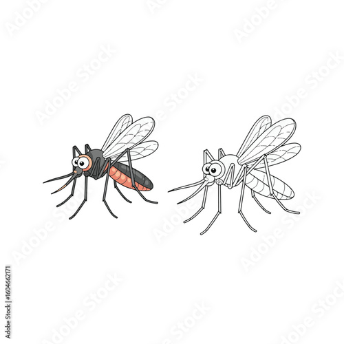 dragonfly isolated on white