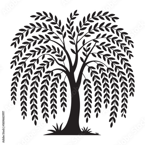 Weeping willow tree silhouette