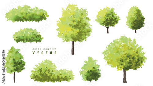  Vector watercolor green  tree or forest side view isolated on white background for landscape and architecture drawing,elements for environment or and garden,Shrub for section