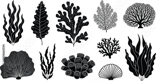 Coral reef or seaweeds vector underwater plant icons. Naive style leaves, algae or fronds.