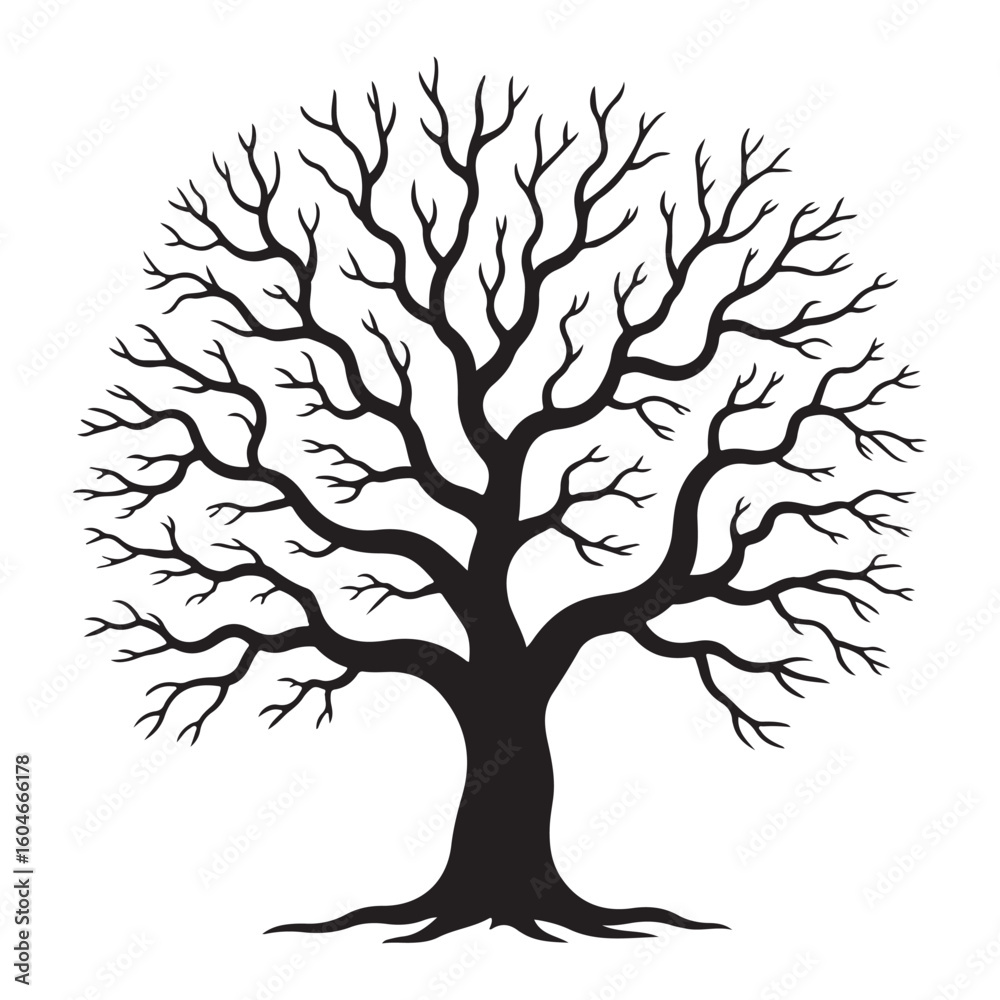 Obraz premium Bare winter tree silhouette