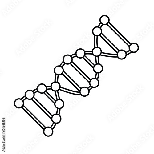Simple hand drawn illustration of a dna double helix structure