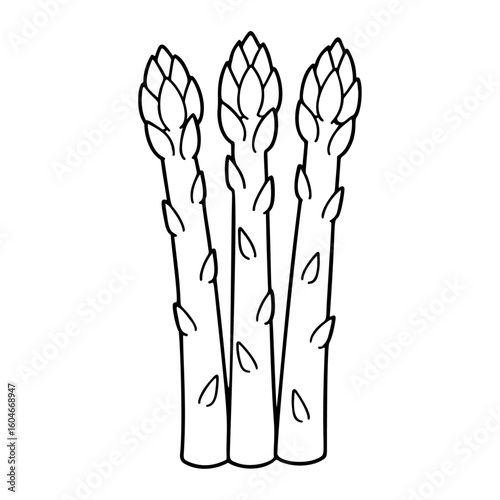 Asparagus outline black and white icon clean line art, doodle style. Ideal for logo, tattoo, app, coloring book, web design, infographics, banner, poster, and more. Vector illustration