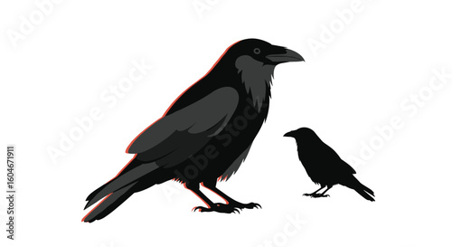 Two crows standing side by side on the ground with a smaller crow silhouette behind them