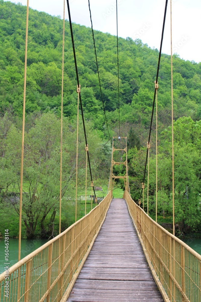 Obraz premium suspension bridge over the river