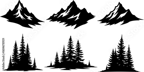 Campfire hiking mountain tree Silhouettes Under the Stars 