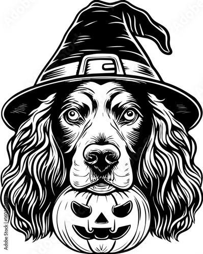 SVG of a Halloween dog wearing a witch hat with a pumpkin in a cute festive style.  Spooky Setter Dog Wearing Witch Hat with Pumpkin Halloween Treat