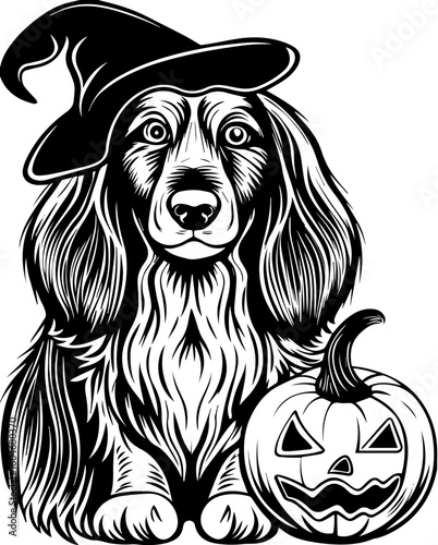 SVG of a Halloween dog wearing a witch hat with a pumpkin in a cute festive style.  Adorable Setter Dog in Witch Hat with Halloween Pumpkin Design