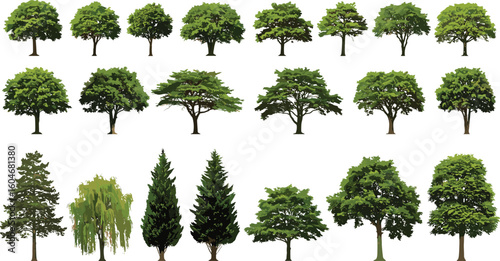 Collection of Isolated Trees on White Background, Diverse Tree Species, Nature Elements, Landscape Design Resources, Perfect for Graphic and Architectural Projects